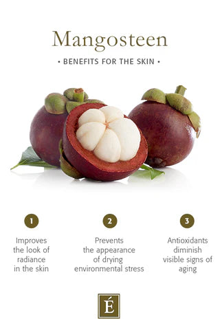 Eminence | Mangosteen Daily Resurfacing Cleanser